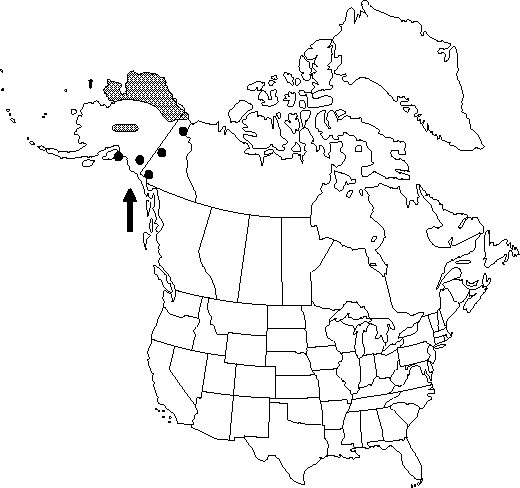 Map of Arctic larkspur in Canada