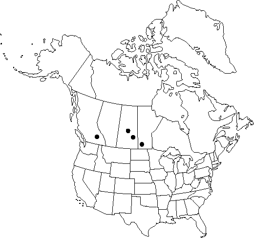Map of <i>Delphinium elatum</i> in Canada