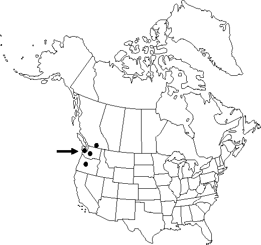Map of Olympic Mountain larkspur in Canada
