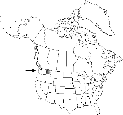 Map of Sutherland's larkspur in Canada