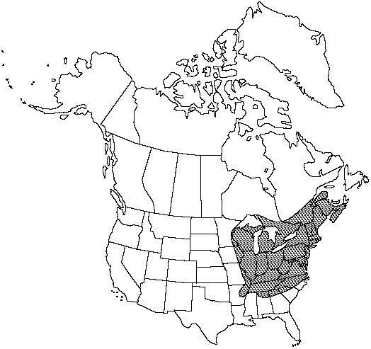 Map of Silvery-spleenwort, silvery glade fern in Canada