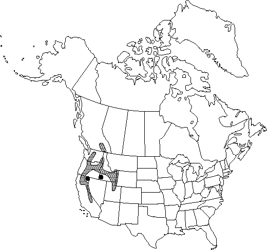 Map of Steer's-head in Canada
