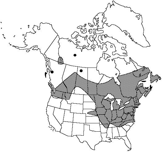 Map of Spinulose wood fern, toothed wood fern in Canada