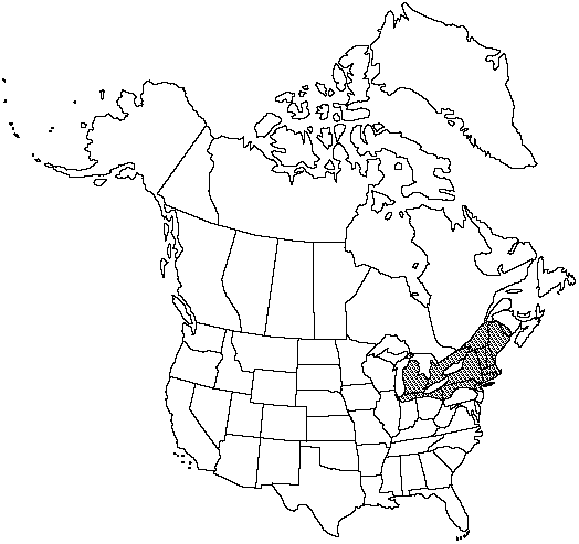 Map of Clinton's wood fern in Canada
