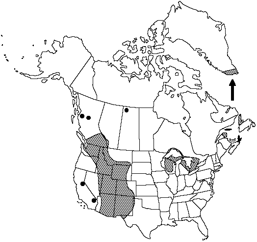 Map of Male fern in Canada