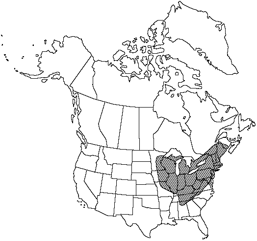 Map of Goldie's wood fern in Canada