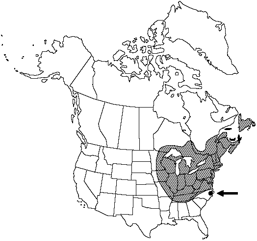 Map of Evergreen wood fern, fancy fern in Canada