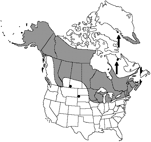 Map of Dwarf scouring rush in Canada
