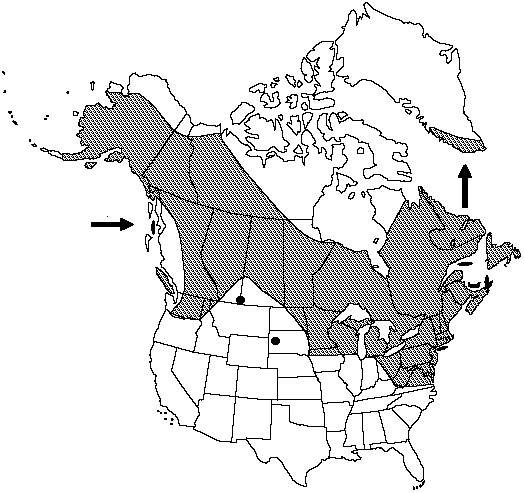 Map of Wood horsetail in Canada