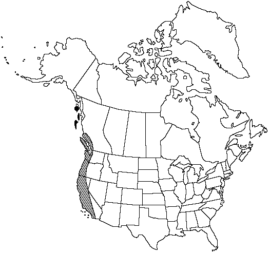 Map of <i>Equisetum telmateia Braunii</i> in Canada