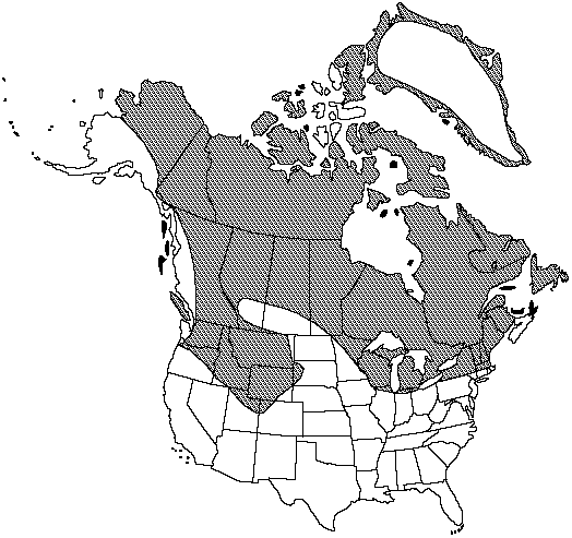 Map of <i>Equisetum variegatum variegatum</i> in Canada