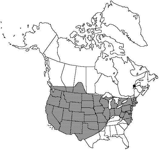 Map of <i>Equisetum ferrissii </i> in Canada