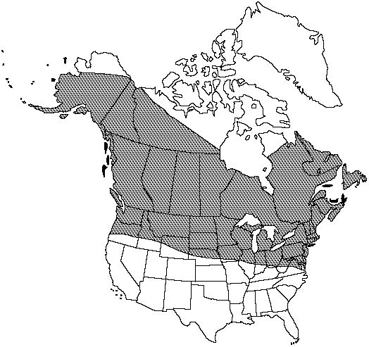 Map of <i>Equisetum litorale</i> in Canada
