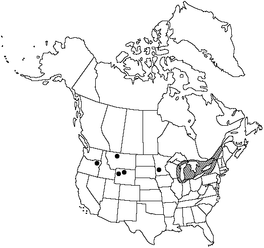 Map of <i>Equisetum nelsonii </i> in Canada