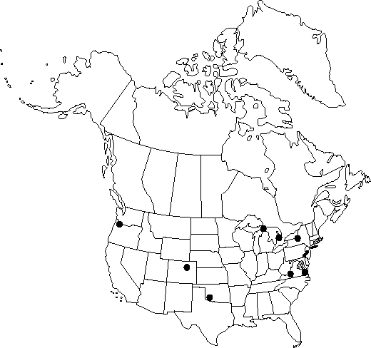 Map of Yellow horned-poppy in Canada