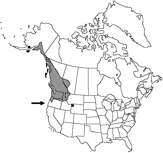 Map of Western oak fern in Canada