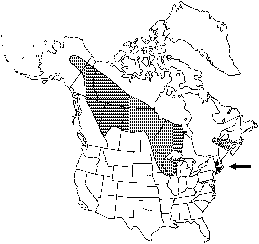 Map of Nahanni oak fern in Canada