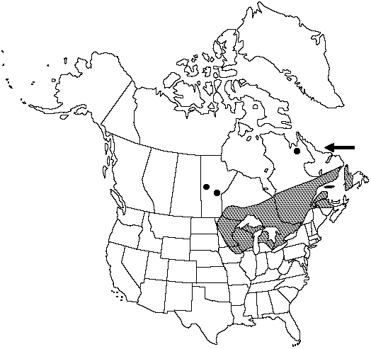 Map of Limestone oak fern in Canada