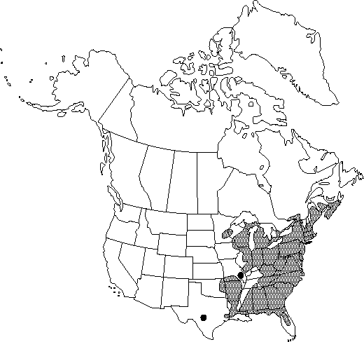 Map of Witch-hazel in Canada