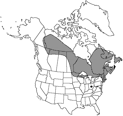 Map of Northern fir-moss in Canada