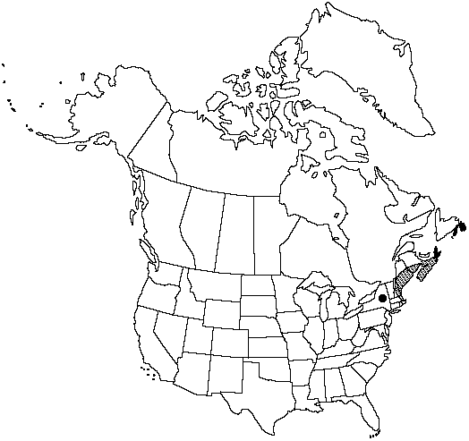 Map of Acadian quillwort in Canada