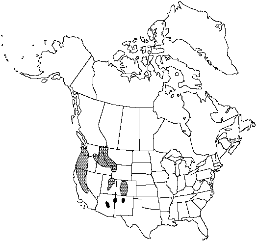 Map of Bolander's quillwort in Canada
