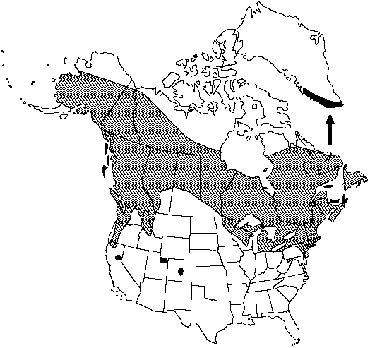 Map of Spiny-spored quillwort in Canada