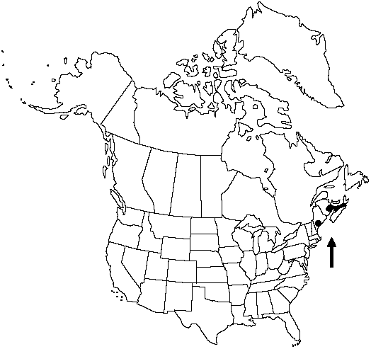 Map of Prototype quillwort in Canada