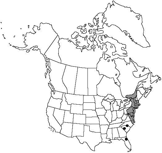 Map of Shore quillwort in Canada