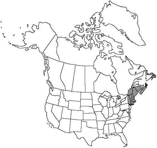 Map of Tuckerman's quillwort in Canada