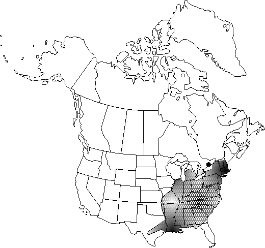Map of Spicebush, Benjamin bush in Canada