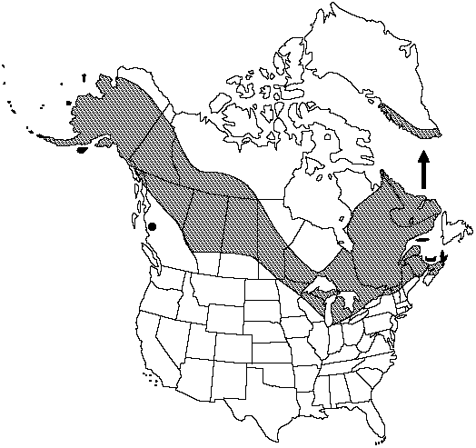 Map of One-cone club-moss in Canada
