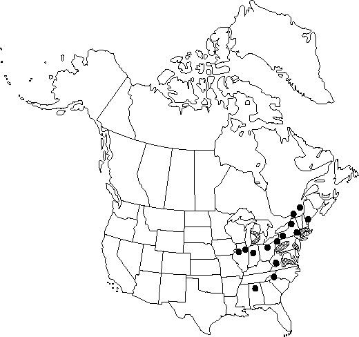 Map of <i>Macleaya cordata</i> in Canada