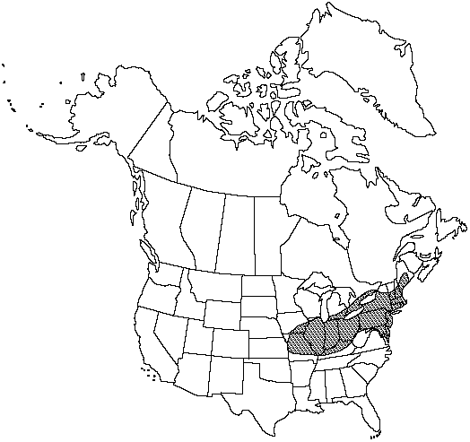 Map of <i>Marsilea quadrifolia</i> in Canada