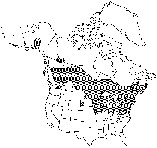 Map of Ostrich fern in Canada