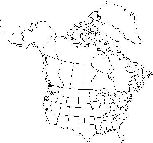 Map of <i>Meconella oregana</i> in Canada