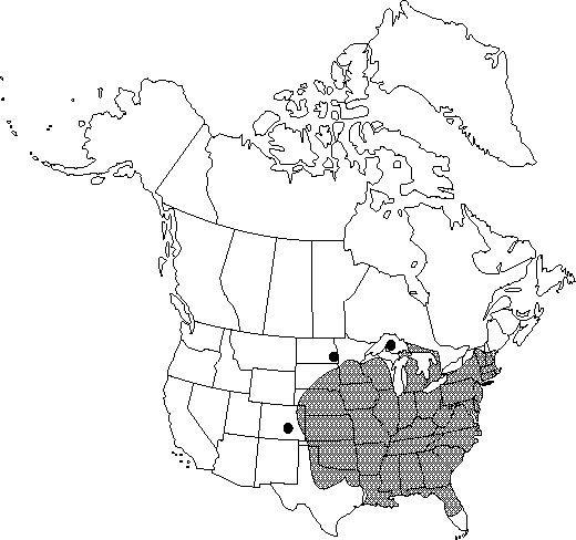 Map of White mulberry, Russian mulberry, silkworm mulberry in Canada