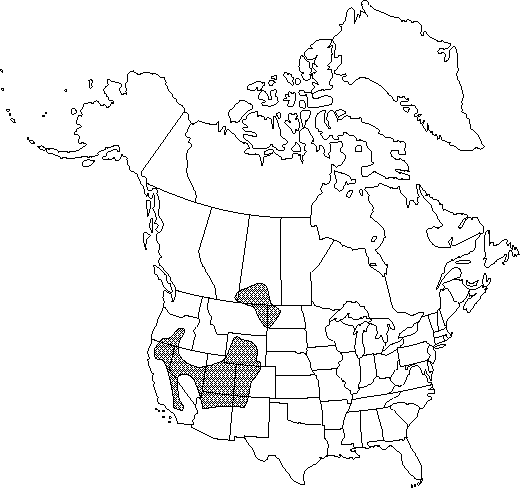 Map of <i>Myosurus apetalus montanus</i> in Canada