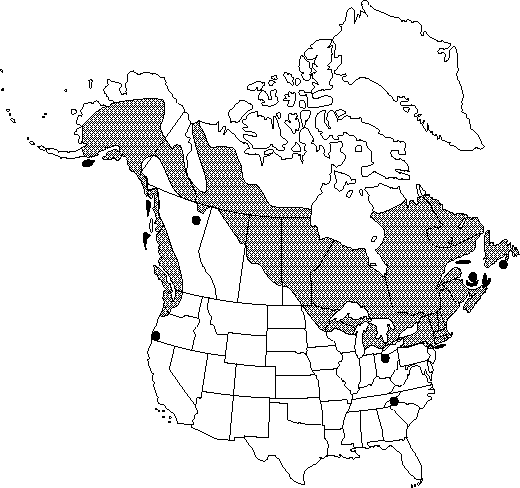 Map of Sweet gale, meadow-fern in Canada