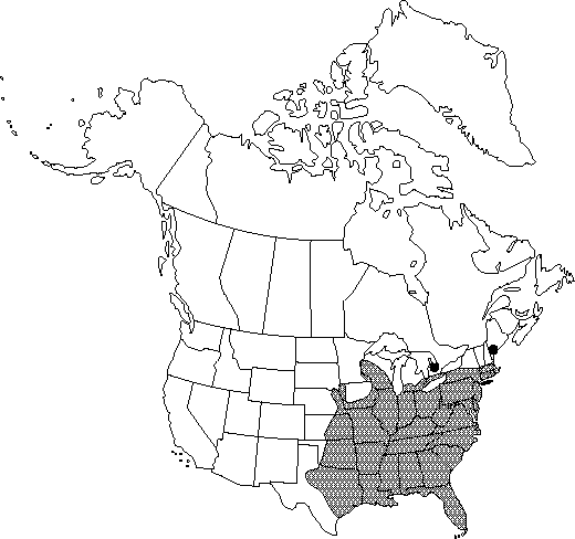 Map of American lotus, yellow lotus, water-chinquapin in Canada