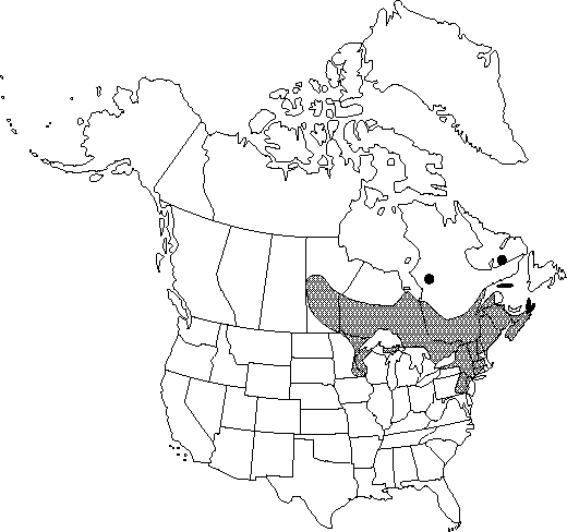Map of <i>Nuphar microphylla </i> in Canada