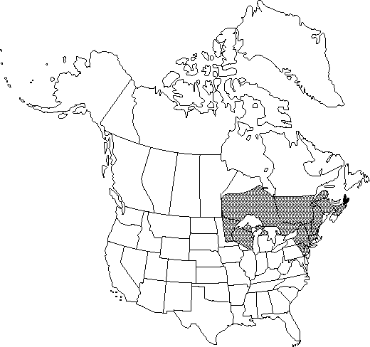 Map of <i>Nuphar rubrodisca</i> in Canada