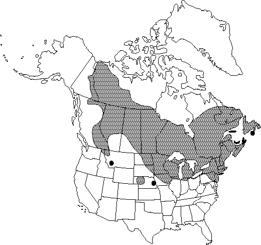 Map of <i>Nuphar variegata </i> in Canada