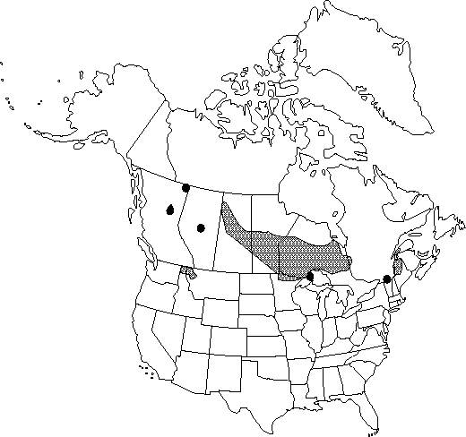 Map of Pygmy water-lily, small white water-lily in Canada
