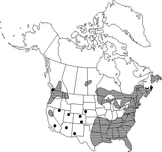 Map of <i>Nymphaea odorata odorata</i> in Canada