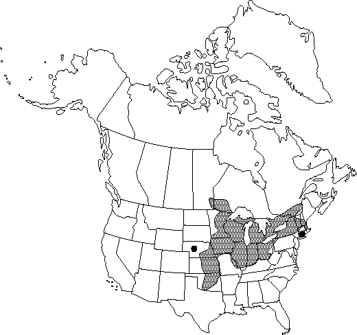 Map of <i>Nymphaea odorata tuberosa</i> in Canada