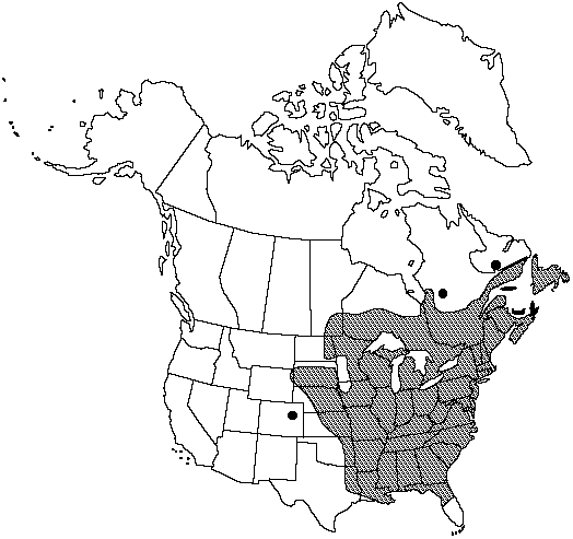 Map of Sensitive fern in Canada