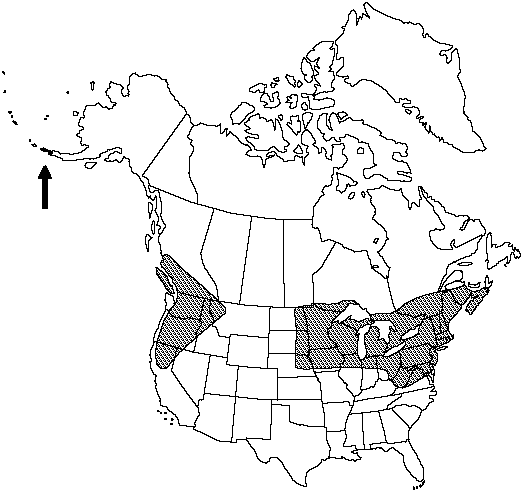 Map of Northern adder's-tongue in Canada