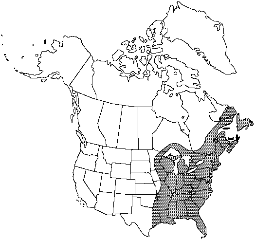 Map of Cinnamon fern in Canada