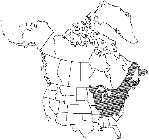 Map of Interrupted fern in Canada